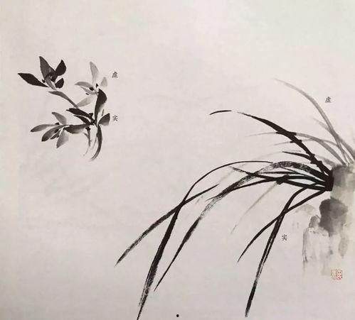 国画兰花在线视频,国画兰花在线视频赏析